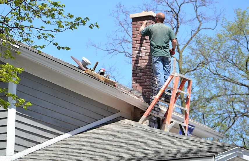 Chimney & Fireplace Inspections Services in Simpsonville, SC